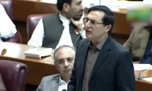 بجٹ منظور نہ ہو تو حکومت ختم ہوجاتی ہے، بیرسٹر گوہر