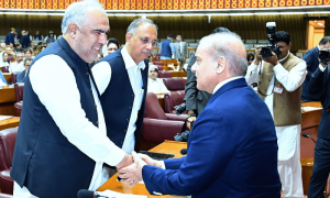 PM Shehbaz extends olive branch to opposition