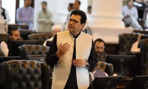 آپریشن عزم استحکام کے حوالے سے پی ٹی آئی کے قول و فعل میں تضاد ہے، اپوزیشن لیڈر کے پی اسمبلی