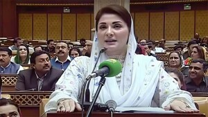 یہ کہتے ہیں میں ٹک ٹاک بناتی ہوں، اس کے لیے بھی محنت کرنی پڑتی ہے، مریم نواز