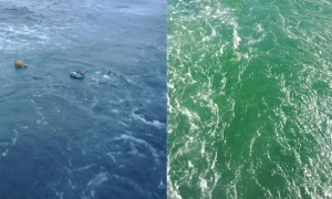 نیلے سمندر پراسرار طور پر سبز ہونے لگے