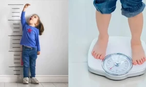 بچے کے قد اور وزن میں اضافے کے لئے معاون غذائیں