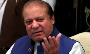بیرون ملک پاکستان کو بدنام کرنے والوں کو جمہوریت سے کوئی دلچسپی نہیں، نواز شریف