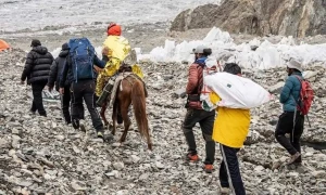 پہاڑ پر طبیعت بگڑنے کے بعد پاکستانی خاتون کوہ پیما ثمینہ بیگ کا گھوڑے پر اسپتال کا طویل سفر جاری