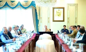 PM Shehbaz wants action against DISCOs staff for billing extra units to consumers