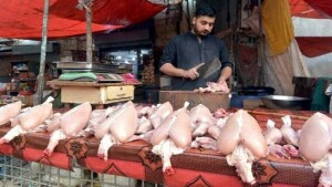 600 کلو مردہ گوشت سپلائی کرنے والے ملزمان کی ضمانت کی درخواست مسترد