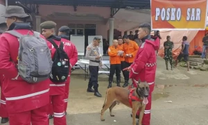 انڈونیشیا میں سونے کی غیر قانونی کان بیٹھ جانے سے 11 افراد ہلاک