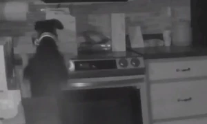 Family dog accidentally starts house fire in US