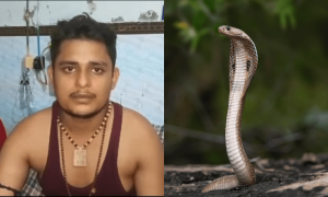 6 مرتبہ ڈسے جانے کے باوجود نوجوان صحت یاب، سانپ پریشان