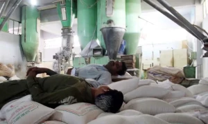 خیبرپختونخوا کی فلور ملز ایسوسی ایشن کا جمعرات کو ہڑتال کا اعلان