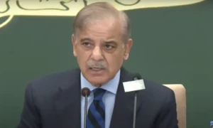 Govt to give relief to people using less than 200 units for 3 months: PM Shehbaz