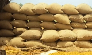 حکومت کا ایکشن، گندم کی درآمد اور برآمد پر پابندی عائد