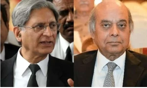آئین کے تحت حکومت سیاسی جماعت پر پابندی لگا سکتی ہے، جسٹس (ر) شائق عثمانی