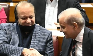 وزیراعظم کی نواز شریف سے تیسری ملاقات، مخصوص نشستوں اور پی ٹی آئی پابندی پر حکومتی حکمت عملی تیار