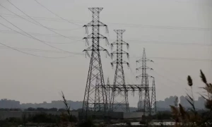 Govt paid Rs1,929 billion to IPPs despite buying zero electricity units