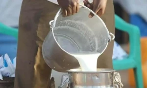 خیبر پختونخوا میں 93 فیصد کُھلا دودھ غیر معیاری نکلا