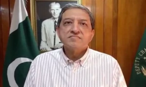 آئی پی پیز کا مسئلہ مزید بدتر ہوگا، بجلی 100 روپے فی یونٹ پر چلی جائے گی، چیئرمین فنانس کمیٹی