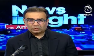 آئی پی پیز کے پلانٹس جو نہیں چل رہے انہیں بند کردینا چاہیے، سابق وزیر توانائی