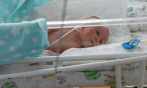 والدین کی بے حسی، نومولود کو چیونٹیاں کاٹتی رہیں