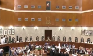 پی ٹی آئی کو ریلیف دینا ہے تو آرٹیکل 51 ، 63 اور 106 معطل کرنا ہوگا، مخصوص نشستوں کے فیصلے پر دو ججز کا اختلافی نوٹ جاری