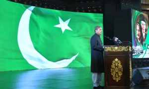 وفاقی حکومت کا یوم آزادی بھرپور انداز میں منانے کا فیصلہ