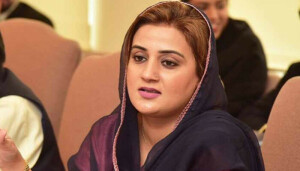 جعلی ویڈیو کیس: اب تو لوگ ایف آئی اے کو رپورٹ کرنا بھی پسند نہیں کرتے، جسٹس نیلم عالیہ