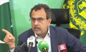 آئی پی پی کا 3 روپے والا یونٹ 285 روپے ہونے کا انکشاف