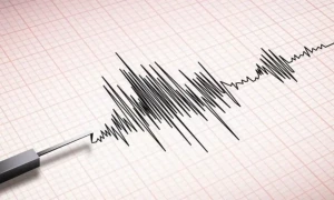 Powerful earthquakes trigger tsunami warning in Japan