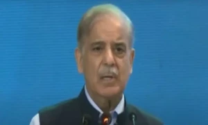 Govt mulls providing relief to people using 200 to 500 units of electricity: PM Shehbaz