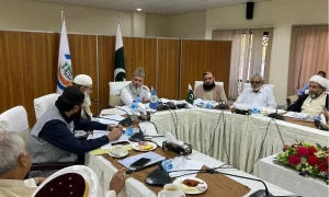 Council of Islamic Ideology urges SC judges to revisit Mubarak Sani case decision