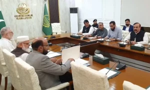 حکومت اور جماعت اسلامی کے درمیان معاہدہ طے پاگیا