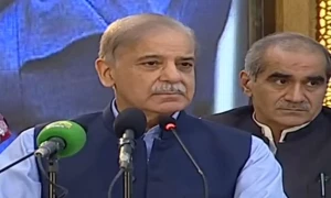 غزہ میں ظلم سے جشن آزادی کی خوشیاں ماند پڑگئیں، وزیراعظم