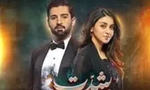 ڈرامہ سیریل &rdquo;شدت&ldquo; کی آخری قسط نشر کر دی گئی