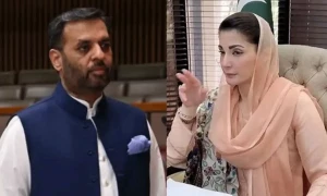 صرف پنجاب میں بجلی کے بلوں میں ریلیف پر مریم نواز اور مصطفیٰ کمال کی تکرار