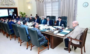 Mpox: PM Shehbaz calls for ensuring screening measures at airports, seaports, borders