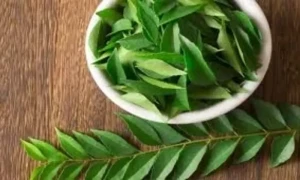 تڑکے میں کڑی پتے ڈال کرذائقے کے ساتھ ساتھ صحت بھی پائیں