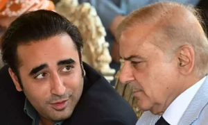 ن لیگ اور پی پی قیادت نے بجلی ریلیف پر اپنے رہنماؤں کو بیان بازی سے روک دیا