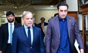 Electricity rates: PML-N, PPP bar party leaders from throwing shade at each other