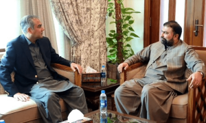 بلوچستان میں آپریشن کی ضرورت نہیں، دہشت گرد صرف ایک ایس ایچ او کی مار ہیں، محسن نقوی