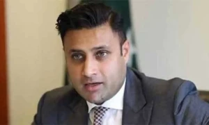 نیب نے زلفی بخاری کی جائیدادیں ضبط کرنے کیلیے درخواست دائر کردی