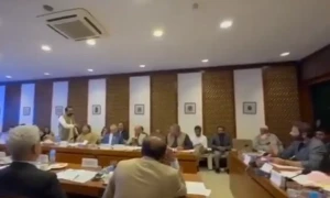 &rsquo;زیادہ بات کی تو کرسی اٹھا کر ماروں گا&lsquo;، سینیٹ کمیٹی اجلاس میں سیف اللہ ابڑو کی شہادت اعوان دھمکی