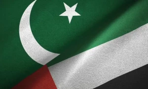 یو اے ای کی ایمنسٹی اسکیم سے پاکستانی بھرپور فائدہ اٹھائیں