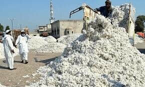 آئی ایم ایف کی پاکستان میں بڑی مداخلت، قیمتیں مقرر کرنے سے روک دیا