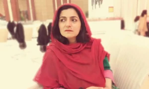 سینیٹ میں ہنگامہ، خاتون پی ٹی آئی سینیٹر نے گالی دیدی، رکنیت معطل