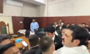 پارلیمنٹ سے گرفتار پی ٹی آئی رہنماؤں کا جسمانی ریمانڈ منظور، بیرسٹر گوہر کو رہا کردیا گیا
