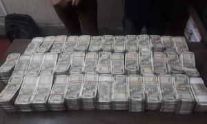 بھارت کی &rsquo;ڈبل شاہ&lsquo;، ٹریڈنگ کے نام پر 2200 کروڑ روپے کا فراڈ، اداکارہ گرفتار