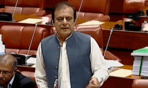 اعلیٰ عدلیہ سے متعلق آئینی ترمیم: حکومت نے قانون سازی کو خفیہ رکھ کر متنازع بنا دیا، شبلی فراز