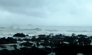 Shanghai paralyzed by strongest typhoon since 1949