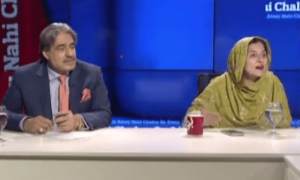 پی ٹی آئی خاتون سینیٹر نے پاکستان ختم ہونے کی بات کردی