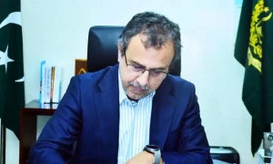 Govt expects tariff relief following review of independent power producers